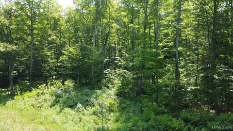 On E Shingleton, Shingleton, MI 49884 photo 22