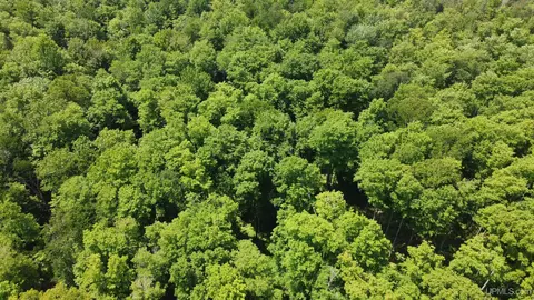 On E Shingleton, Shingleton, MI 49884 photo 26