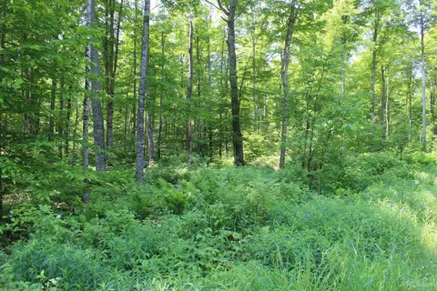 On E Shingleton, Shingleton, MI 49884 photo 16