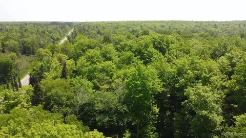 On E Shingleton, Shingleton, MI 49884 photo 23