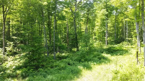 On E Shingleton, Shingleton, MI 49884 photo 21