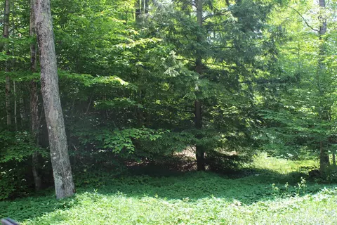 On E Shingleton, Shingleton, MI 49884 photo 12