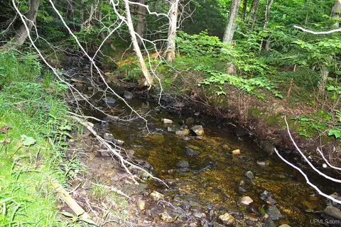 On E Shingleton, Shingleton, MI 49884 photo 4