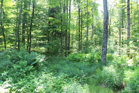 On E Shingleton, Shingleton, MI 49884 photo 28