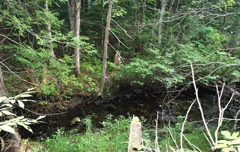 On E Shingleton, Shingleton, MI 49884 photo 6