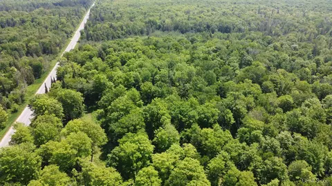 On E Shingleton, Shingleton, MI 49884 photo 31