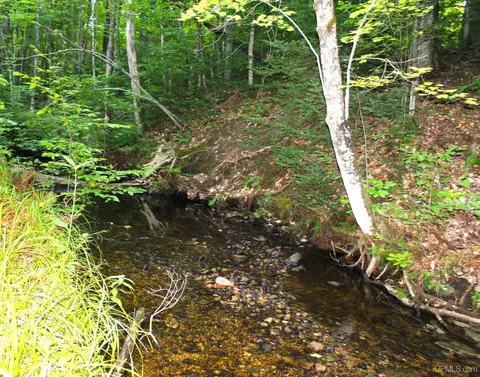On E Shingleton, Shingleton, MI 49884 photo 8