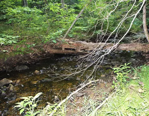On E Shingleton, Shingleton, MI 49884 photo 3