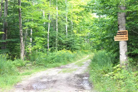 On E Shingleton, Shingleton, MI 49884 photo 10