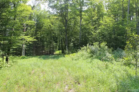 On E Shingleton, Shingleton, MI 49884 photo 13