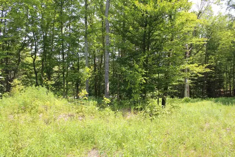 On E Shingleton, Shingleton, MI 49884 photo 11