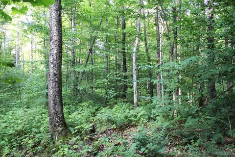 On E Shingleton, Shingleton, MI 49884 photo 29