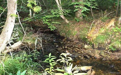 On E Shingleton, Shingleton, MI 49884 photo 5