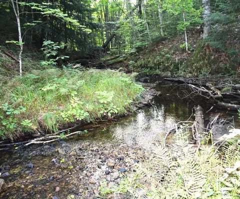 On E Shingleton, Shingleton, MI 49884 photo 9