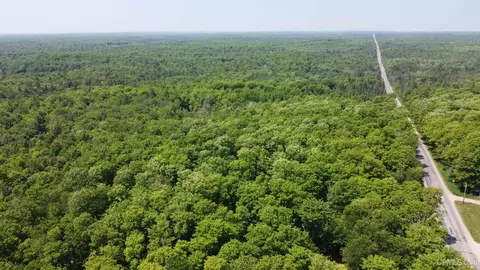 On E Shingleton, Shingleton, MI 49884 photo 2