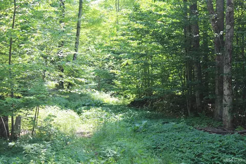 On E Shingleton, Shingleton, MI 49884 photo 19