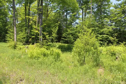 On E Shingleton, Shingleton, MI 49884 photo 15