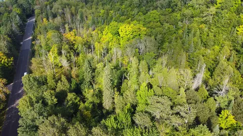 On Sand Point, Munising, MI 49862 photo 8