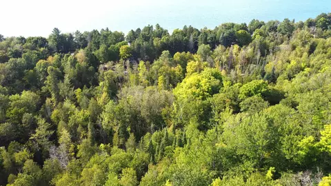 On Sand Point, Munising, MI 49862 photo 5