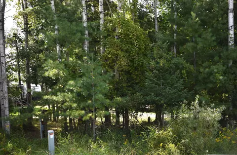 5357 Avebury, Gladwin, MI 48624 photo 13