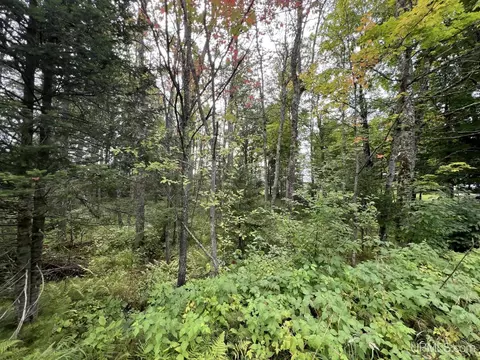tbd W Brule Lk, Iron River, MI 49935