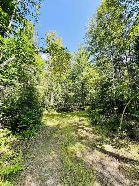 315 North, Negaunee, MI 49866
