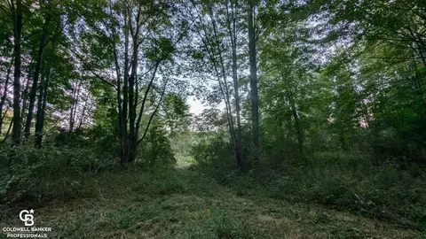 13045 Foley Rd, Emmett, MI 48022