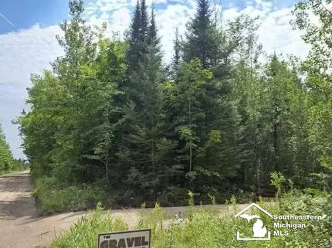 17991 Hebron Mail Rte, Cheboygan, MI 49721