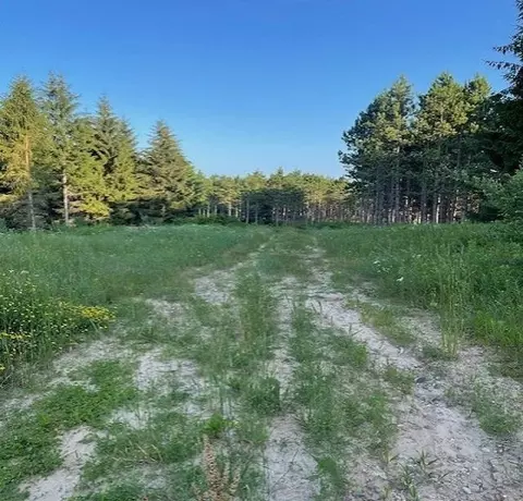 00 E Stockwell, Harrison, MI 48625 photo 14