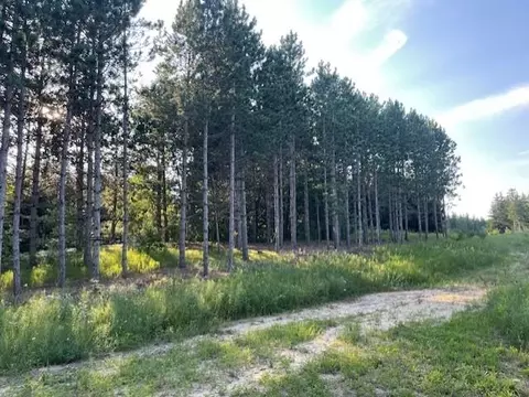 00 E Stockwell, Harrison, MI 48625 photo 2