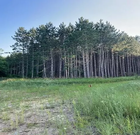 00 E Stockwell, Harrison, MI 48625 photo 16