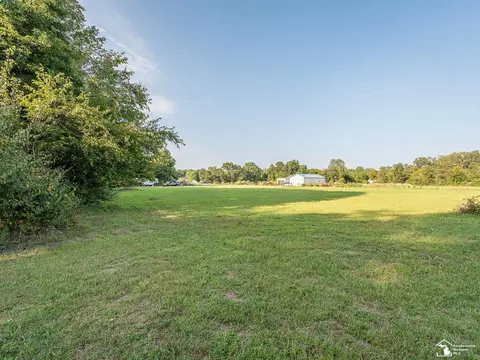 12217 Ostrander, Maybee, MI 48159 photo 15