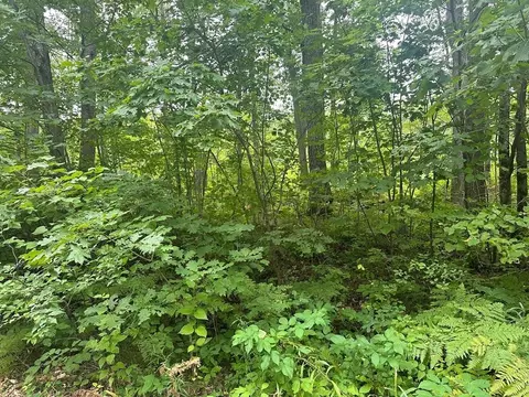 lot S 50 51 Jackie, Harrison, MI 48625 photo 2