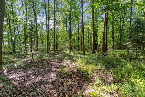 Exterior - 5703 Peet, Chesaning, MI 48616 photo 12 of 20