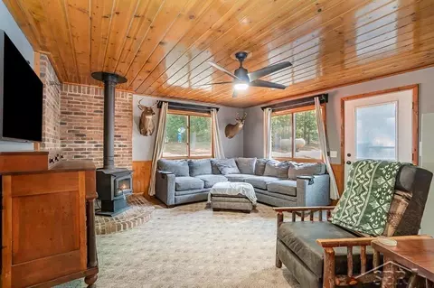 Living - 4357 Broughton, Mio, MI 48647 photo 3 of 4
