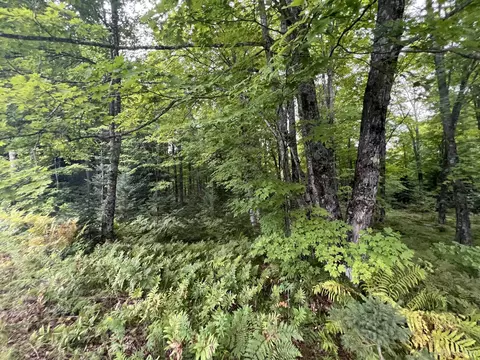 tbd Old Beechwood, Iron River, MI 49935