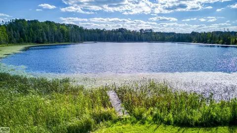 View/Area - 4780 Rose City Rd, Lupton, MI 48635 photo 8 of 8