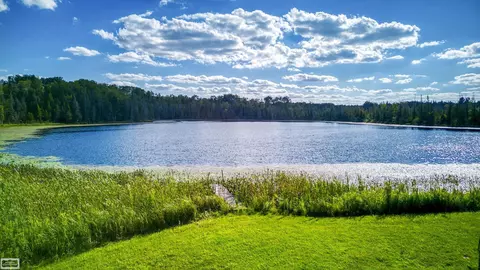 View/Area - 4780 Rose City Rd, Lupton, MI 48635 photo 1 of 8