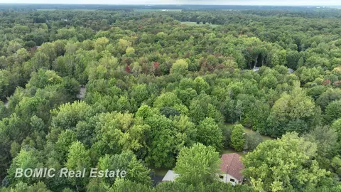5782 Hasco, Vassar, MI 48768 photo 47