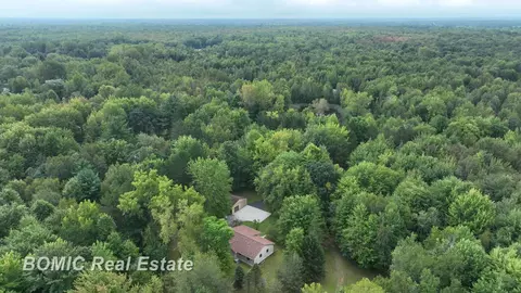 5782 Hasco, Vassar, MI 48768 photo 48