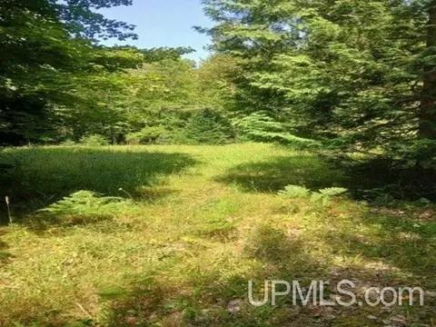 897 Old Little Lk, Skandia, MI 49885
