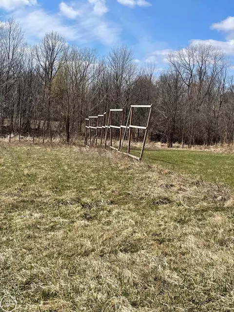 Vacant Belle River, Memphis, MI 48041