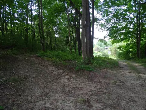 8400 Clinton, Jackson, MI 49201 photo 49