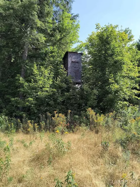 348 Ac Black Riv, Ironwood, MI 49938