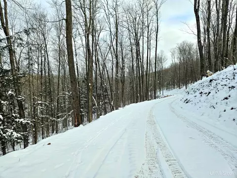 tbd 172 Acres Black Riv, Bessemer, MI 49911