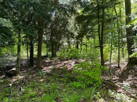 tbd Reindeer, Munising, MI 49862 photo 36