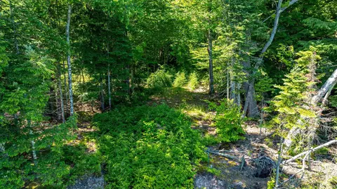 tbd Reindeer, Munising, MI 49862 photo 27