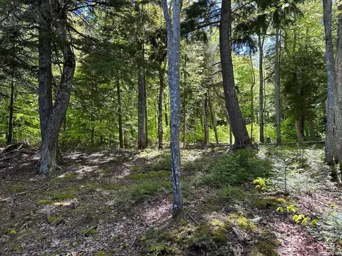 tbd Reindeer, Munising, MI 49862 photo 5