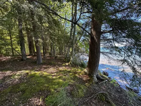 tbd Reindeer, Munising, MI 49862 photo 33
