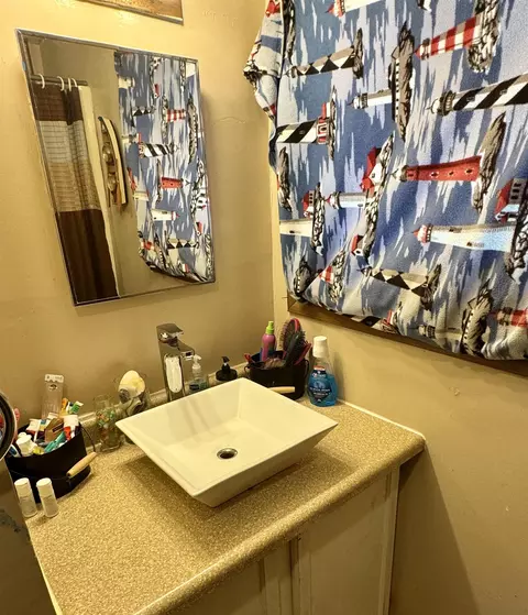 Bath - 205 Pine St, Omer, MI 48749 photo 2 of 2